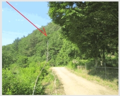  2025Ÿ��50711  �Ӿ߰��