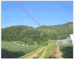  2025Ÿ��50711  �Ӿ߰��