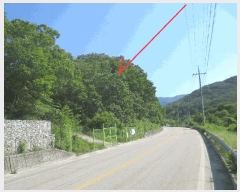  2025Ÿ��50711  �Ӿ߰��