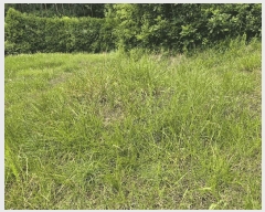  2025Ÿ��50717  �����