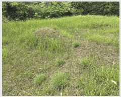  2025Ÿ��50717  �����