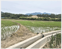  2025Ÿ��50717  �����