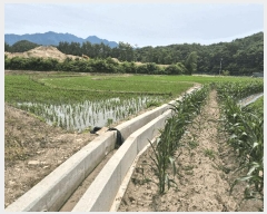  2025Ÿ��50717  �����