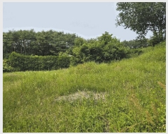  2025Ÿ��50717  �����