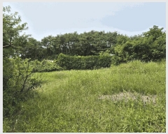  2025Ÿ��50717  �����