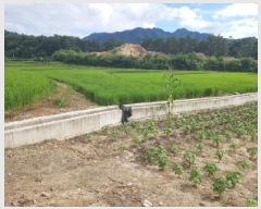  2025Ÿ��50717  �����