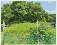  2025Ÿ��50733  �����