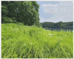  2025Ÿ��50733  �����