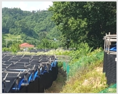  2025Ÿ��50733  �����