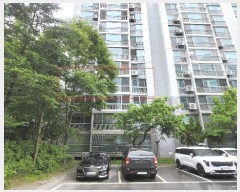  2025Ÿ��50737  ����Ʈ���