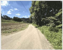  2025Ÿ50749  ȫõ   1657-2      (1)