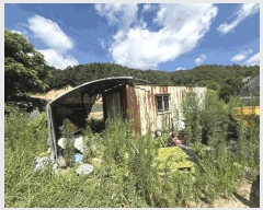  2025Ÿ50749  ȫõ   1657-2      (1)