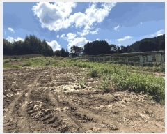  2025Ÿ50749  ȫõ   1657-2      (1)