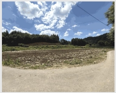  2025Ÿ50749  ȫõ   1657-2      (1)