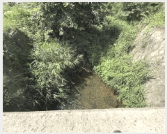  2025Ÿ50749  ȫõ   1657-2      (1)