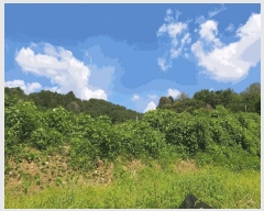  2025Ÿ50769  õ  ĵ 448-2      