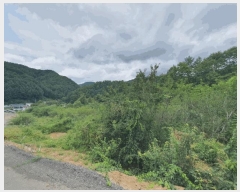  2025Ÿ��50783 ���� ȫõ�� ������ ǳ�ϸ� 152-2      ����(��1)���