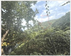  2025Ÿ��50790  �����