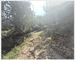  2025Ÿ��50790  �����