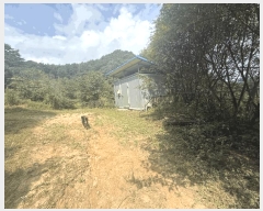  2025Ÿ��50790  �����