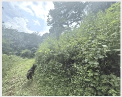  2025Ÿ��50790  �����