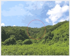  2025Ÿ��50833  �Ӿ߰��