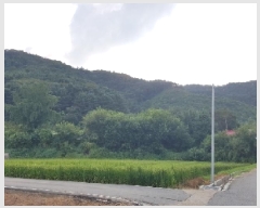  2025Ÿ��50833  �Ӿ߰��