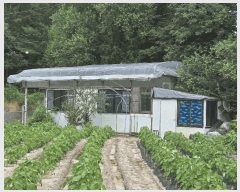  2025Ÿ��50856  �����