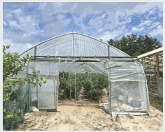  2025Ÿ��50856  �����