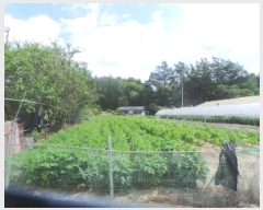  2025Ÿ��50856  �����