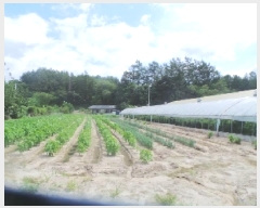  2025Ÿ��50856  �����