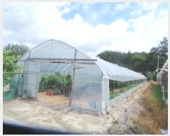  2025Ÿ��50856  �����