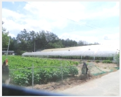  2025Ÿ��50856  �����