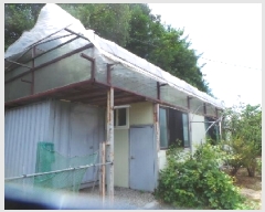  2025Ÿ��50856  �����