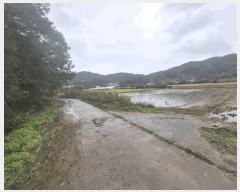  2025Ÿ��50858 ���� ȫõ�� ���̸� �;߸� 845-3      ����(��)���