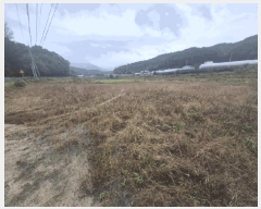  2025Ÿ��50858 ���� ȫõ�� ���̸� �;߸� 845-3      ����(��)���