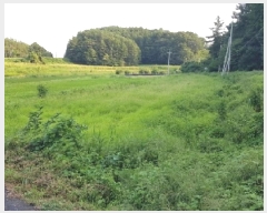  2025Ÿ��50858 ���� ȫõ�� ���̸� �;߸� 845-3      ����(��)���