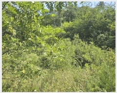  2025Ÿ��50874 ���� ȫõ�� ���� ȭ���� 347      ����(�Ӿ�)���