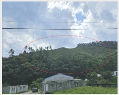  2025Ÿ��50874 ���� ȫõ�� ���� ȭ���� 347      ����(�Ӿ�)���