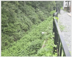  2025Ÿ��50874 ���� ȫõ�� ���� ȭ���� 347      ����(�Ӿ�)���