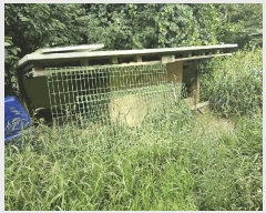  2025Ÿ��50874 ���� ȫõ�� ���� ȭ���� 347      ����(�Ӿ�)���