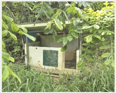  2025Ÿ��50874 ���� ȫõ�� ���� ȭ���� 347      ����(�Ӿ�)���