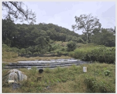  2025Ÿ��50878 ���� ��õ�� ����� �� ��20      ����(�Ӿ�)���