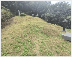  2025Ÿ��50878 ���� ��õ�� ����� �� ��20      ����(�Ӿ�)���