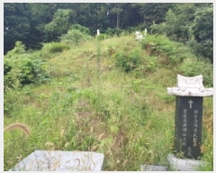  2025Ÿ��50878 ���� ��õ�� ����� �� ��20      ����(�Ӿ�)���