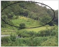  2025Ÿ��50878 ���� ��õ�� ����� �� ��20      ����(�Ӿ�)���