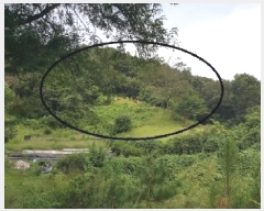  2025Ÿ��50878 ���� ��õ�� ����� �� ��20      ����(�Ӿ�)���