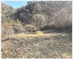  2025Ÿ��50882 ���� �籸�� ���� ĥ���� 65-1      ����(��1)���