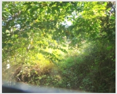  2025Ÿ��50882 ���� �籸�� ���� ĥ���� 65-1      ����(��1)���