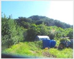  2025Ÿ��50882 ���� �籸�� ���� ĥ���� 65-1      ����(��1)���